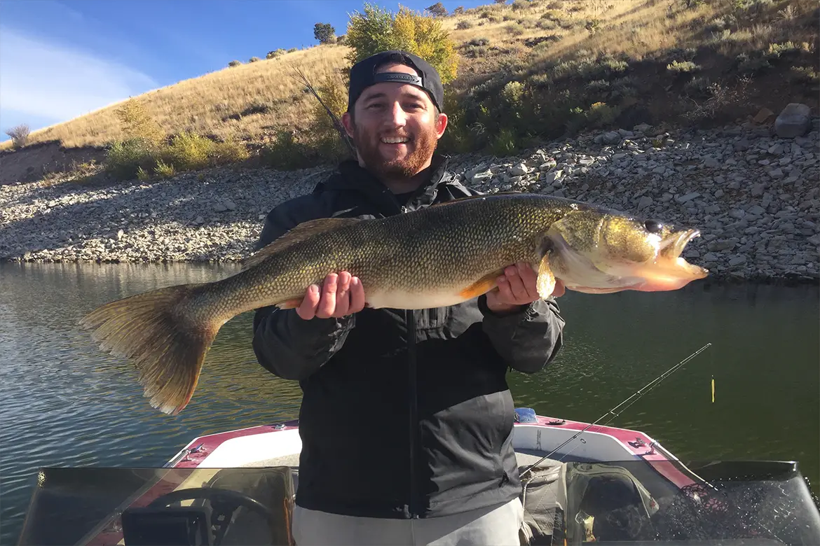 An In Depth Guide to Catching Walleye in Utah – Tilt Fishing
