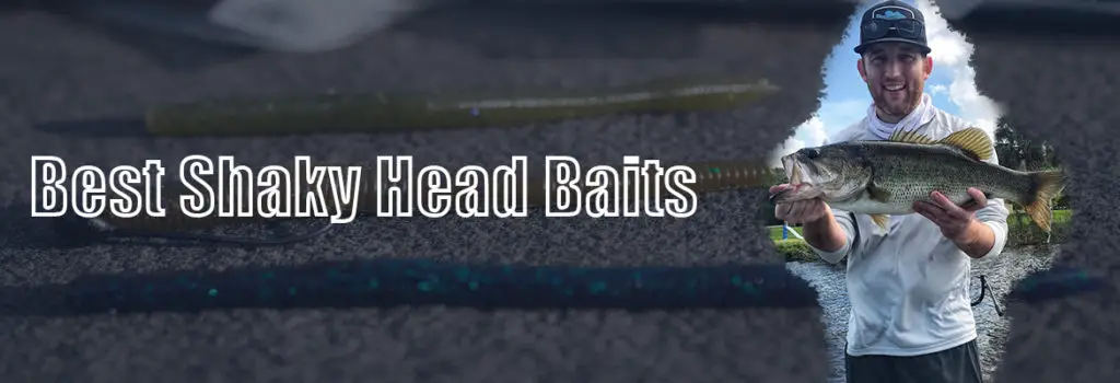 image of shaky head baits