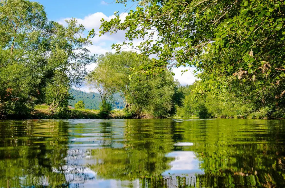 do-largemouth-bass-live-in-rivers-tilt-fishing