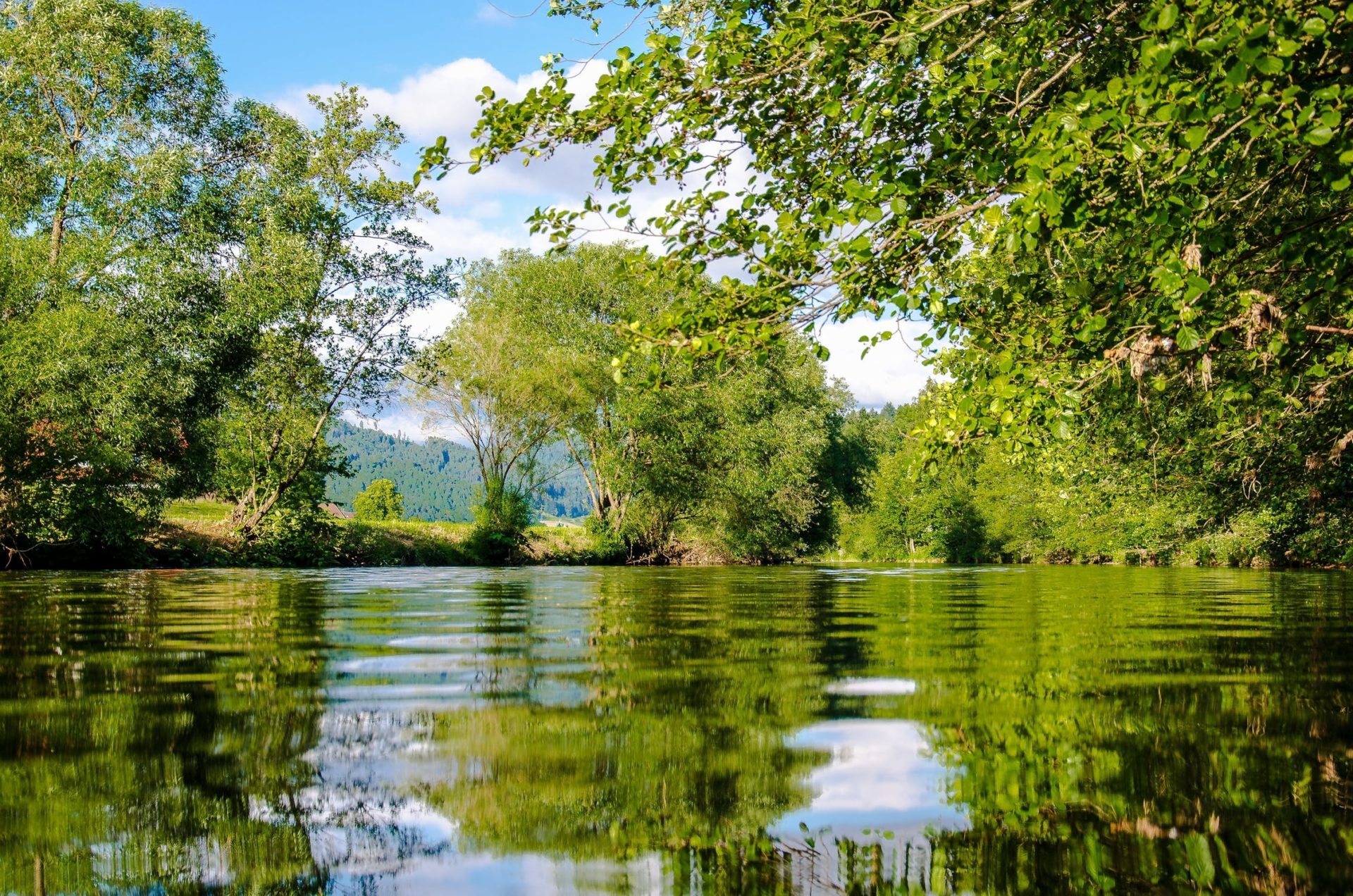 Do Largemouth Bass Live in Rivers? Tilt Fishing