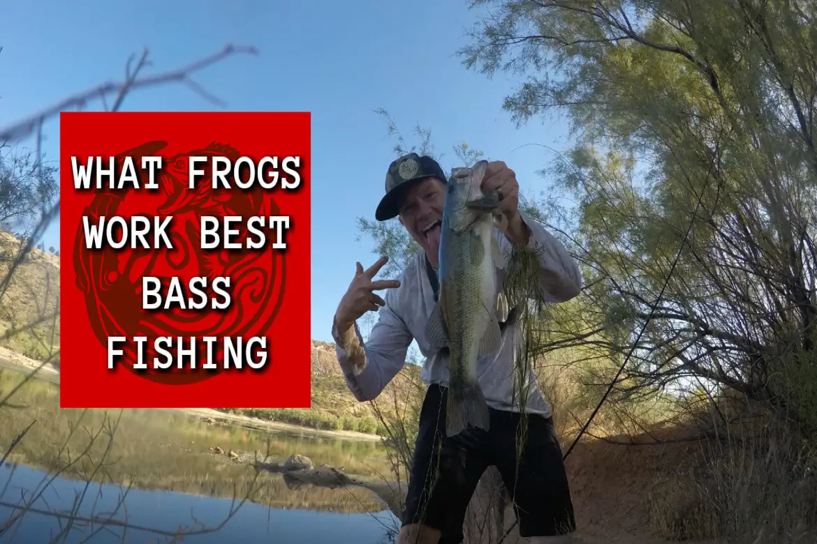 Main Frog Fishing for Bass
