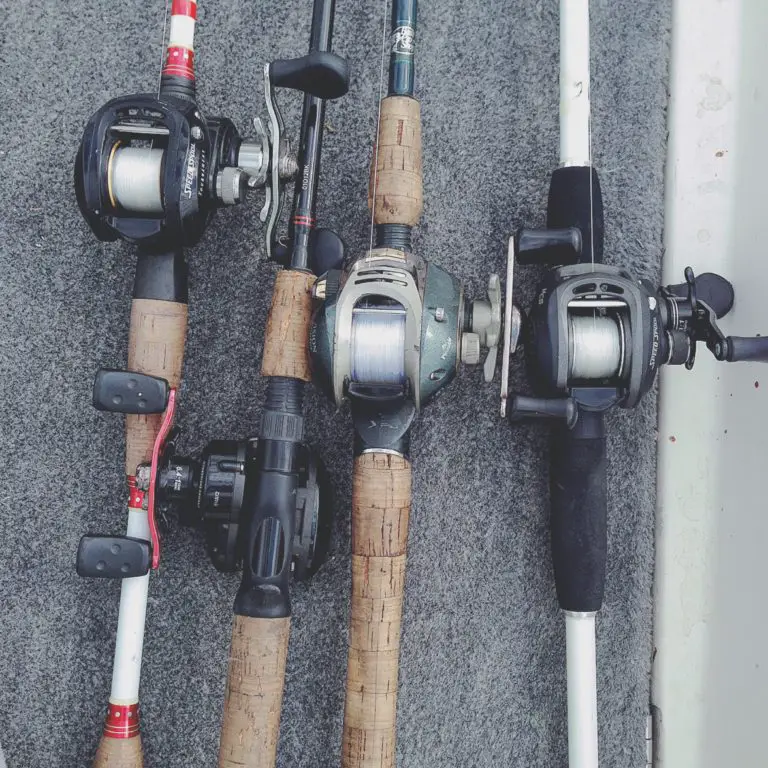 bass-fishing-gear-ratios-ultimate-reel-guide-tilt-fishing