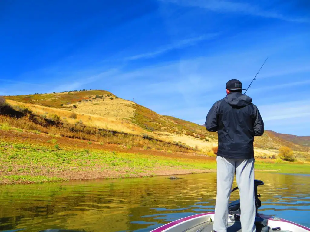 Bear Lake Idaho Fish Species