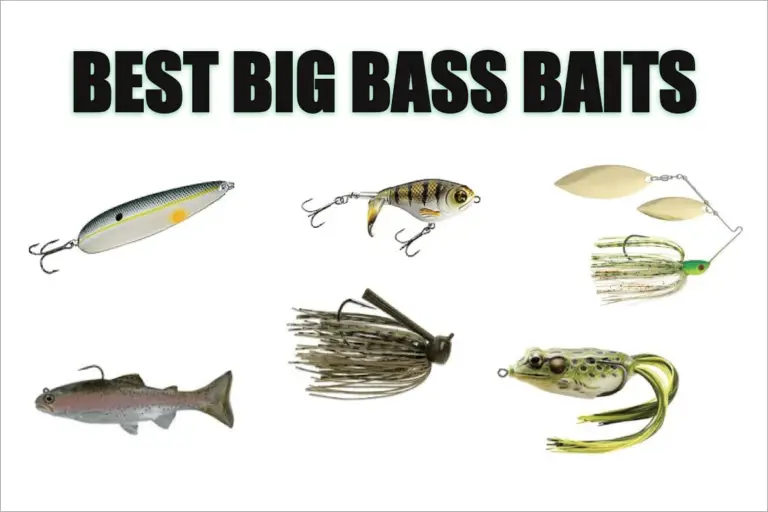 11-bold-lures-to-catch-giant-bass-tilt-fishing