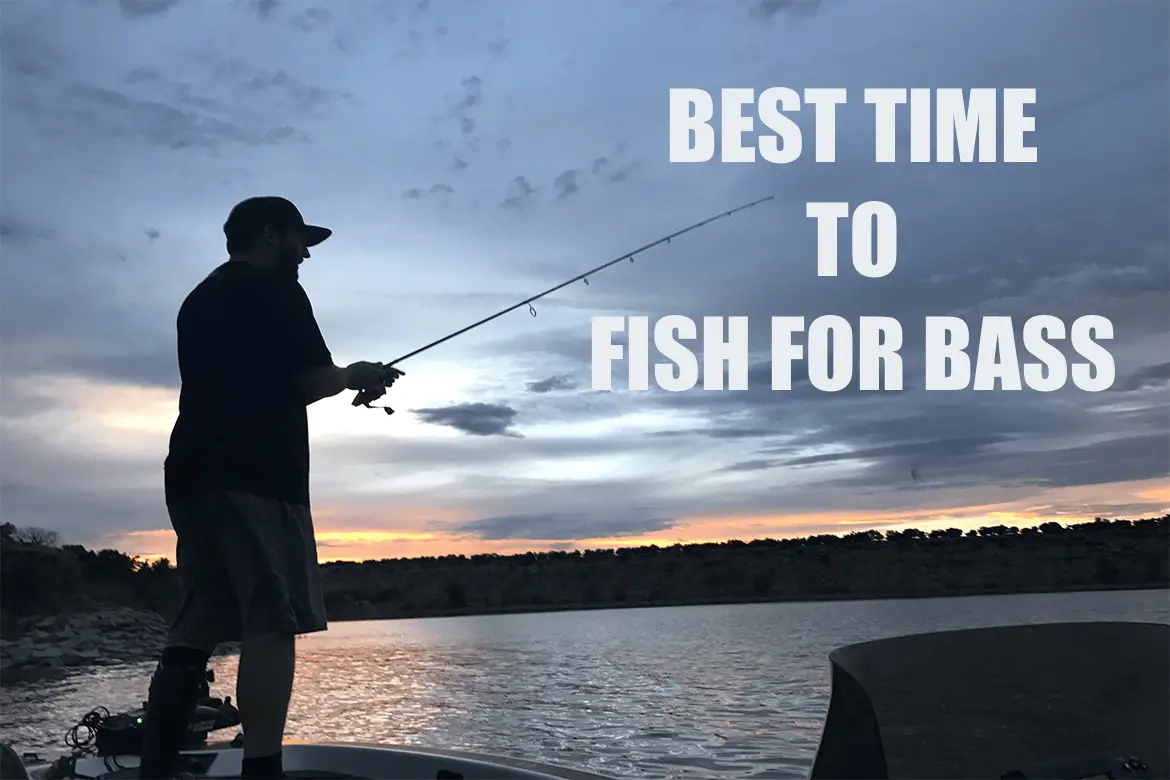 When are the Best Times to Fish For Bass?