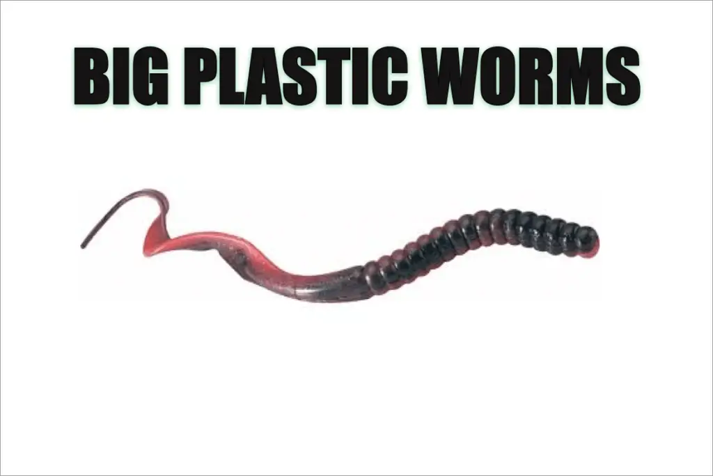 download big bass worms download big bass worms