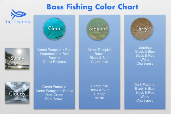 The Best Colors for Fall Bass Fishing