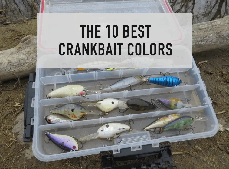 Best Color For Crank Baits