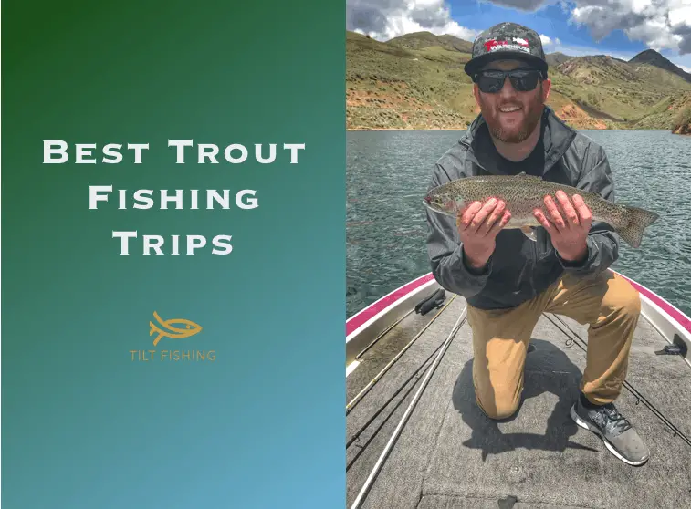 20 Trout Fishing Tips to Catch More Fish – Tilt Fishing