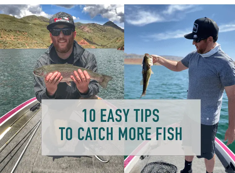 10 Proven Tips to Help You Catch More Fish – Tilt Fishing