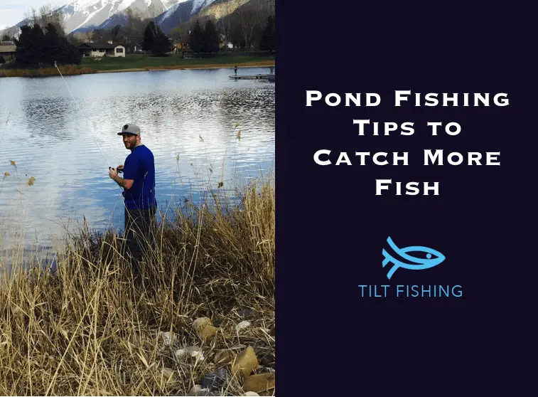 20 Pond Fishing Tips to Catch More Fish – Tilt Fishing