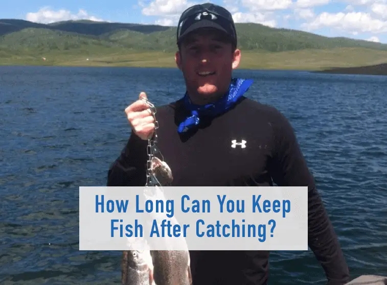 How Long Can You Keep Fish After Catching? – Tilt Fishing