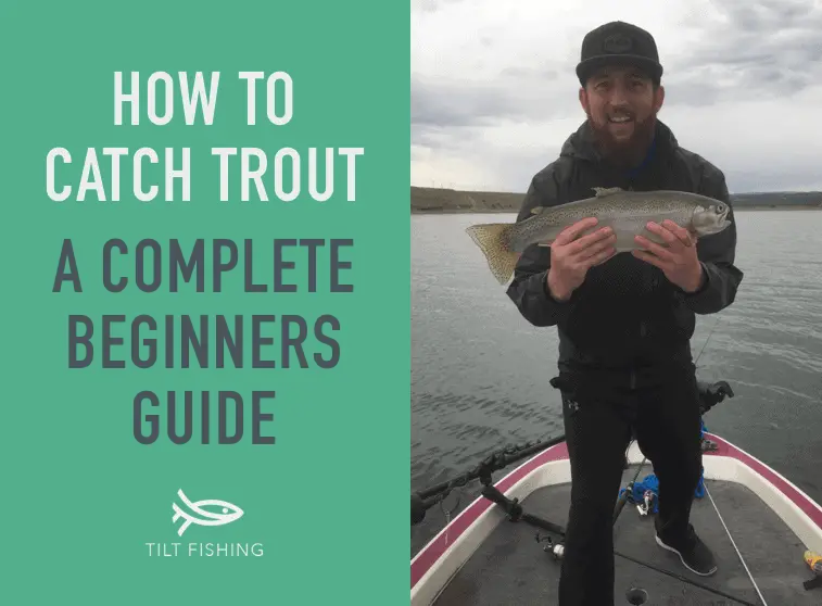 How to Catch Trout: A Complete Beginners Guide – Tilt Fishing