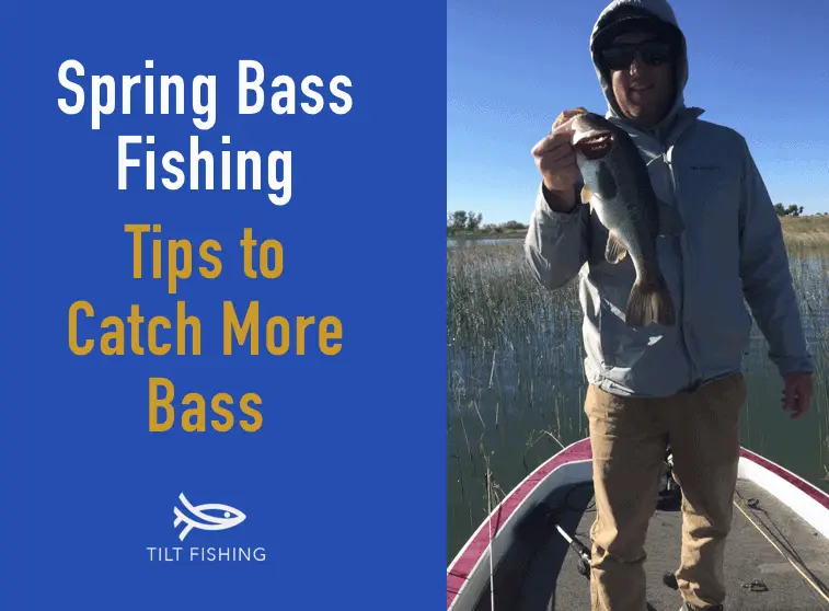 15 Essential Spring Bass Fishing Tips – Tilt Fishing