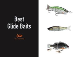 The Best Glide Baits – Tilt Fishing