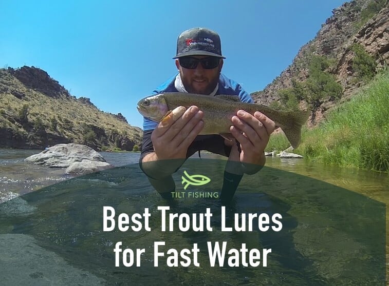 The 5 Best Trout Lures for Fast Water Tilt Fishing