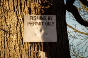 Do You Need a Fishing License for Catch and Release? – Tilt Fishing