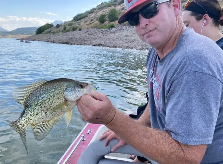 Not Catching Crappie? Here are 8 Reason’s Why – Tilt Fishing