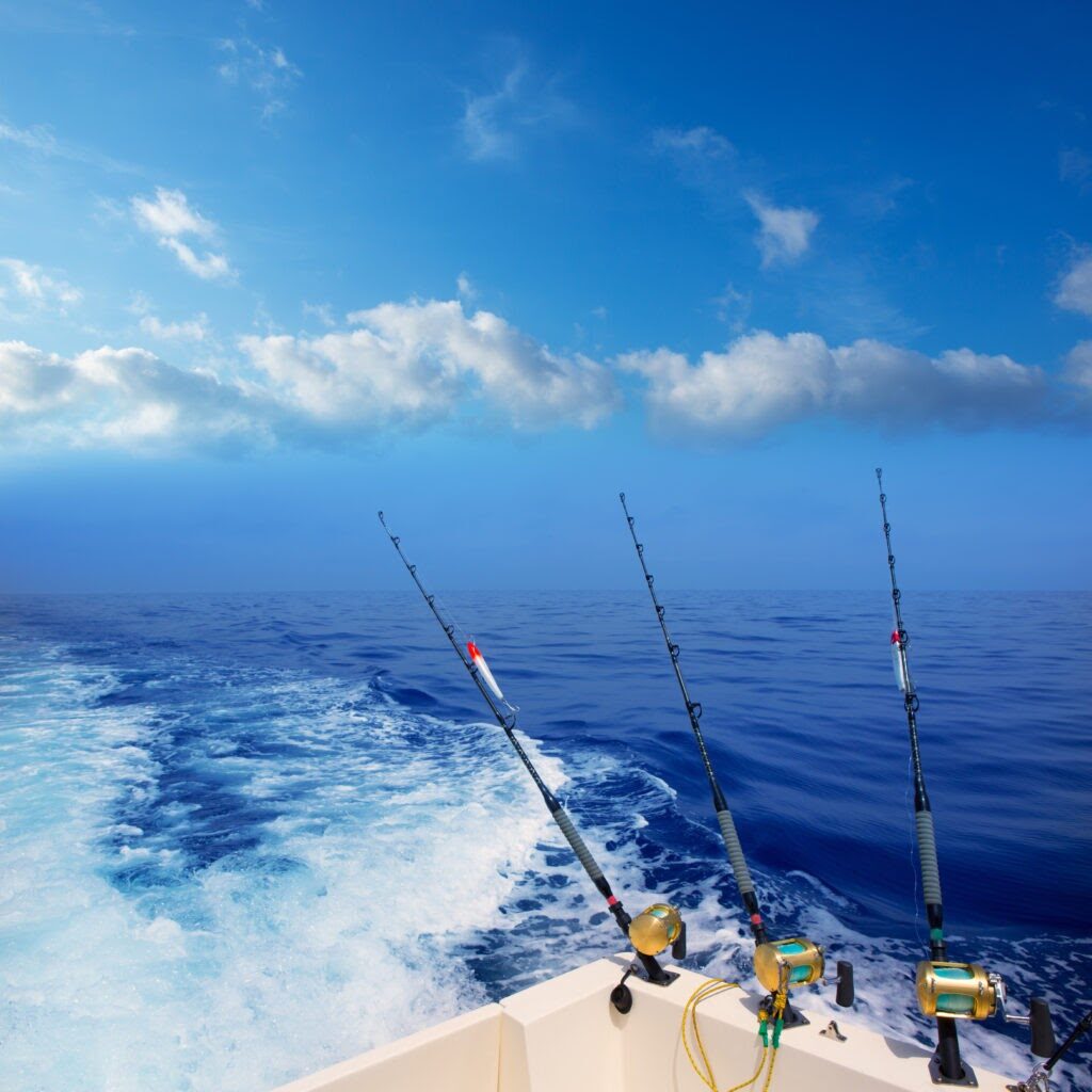 The 8 Best San Diego Party Fishing Boats & Charters Tilt Fishing