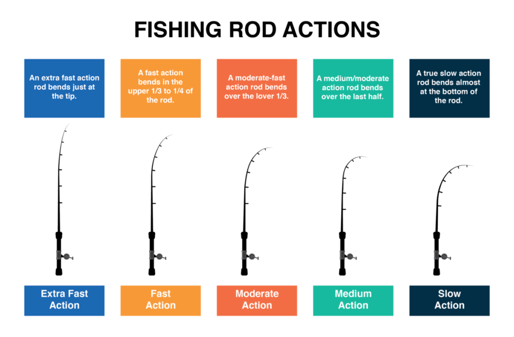 Fishing Rod Action A Complete Guide Tilt Fishing