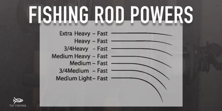 Fishing Rod Power: A Complete Guide – Tilt Fishing