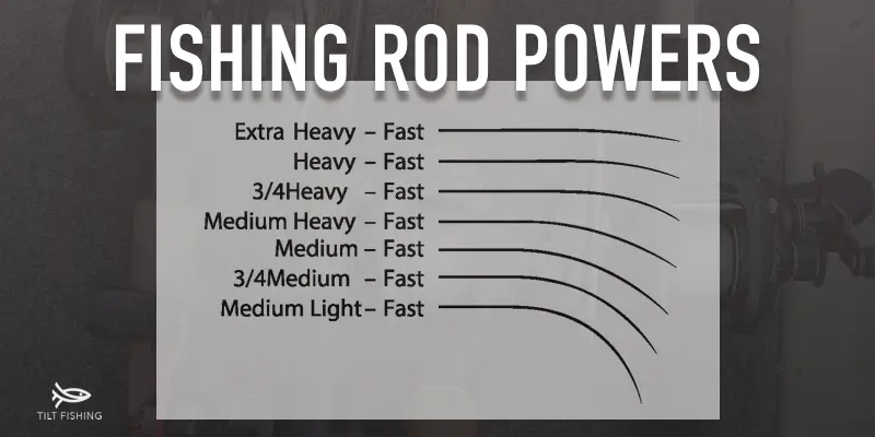 Fishing Rod Power: A Complete Guide – Tilt Fishing