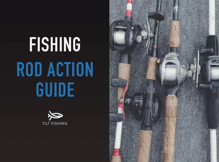 Fishing Rod Action: A Complete Guide – Tilt Fishing