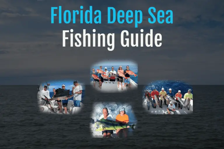 deep-sea-fishing-in-florida-best-charters-spots-tilt-fishing