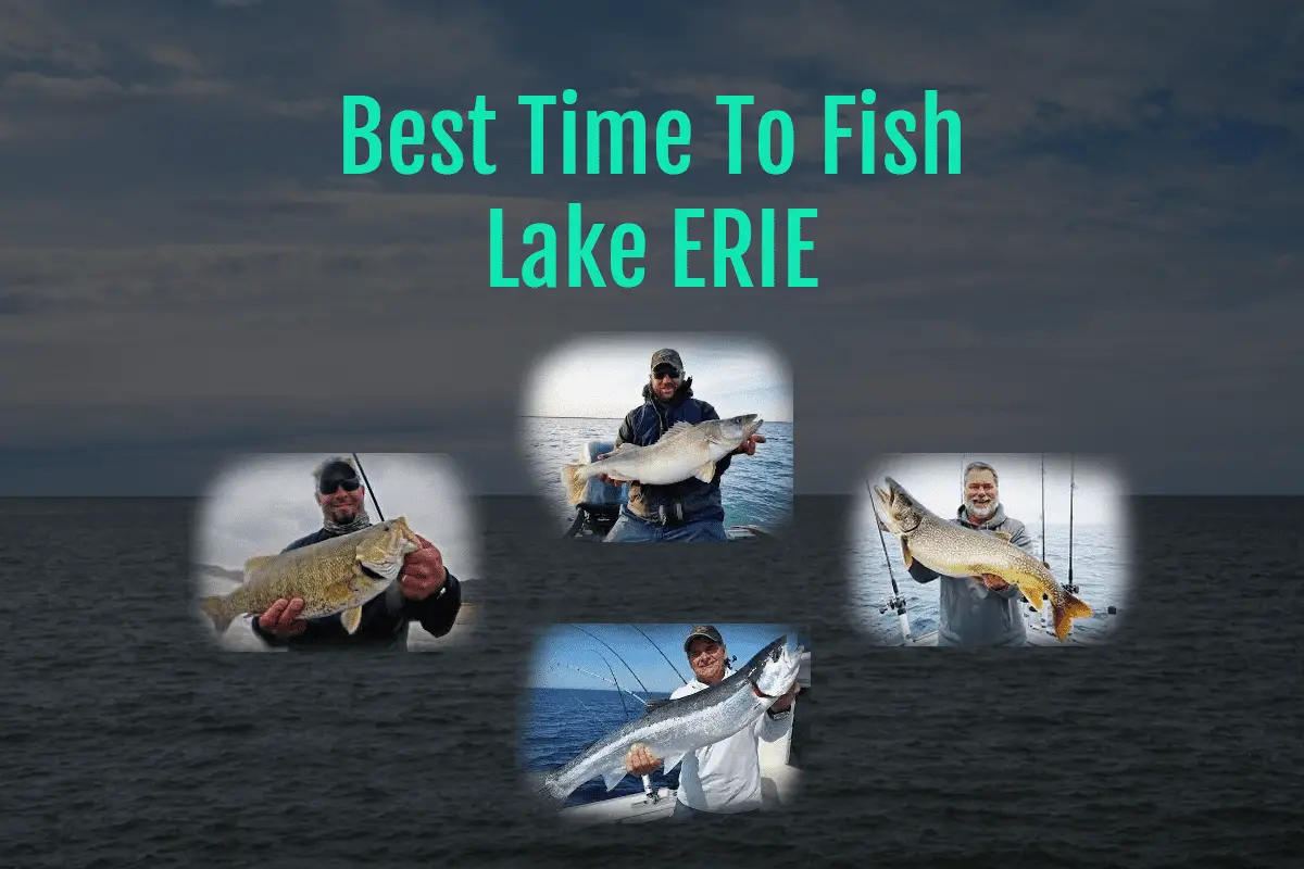 Best Time to Fish Lake Erie [Seasonal Fishing Guide] Tilt Fishing
